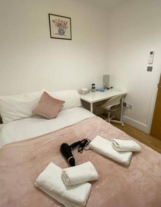 Cosy Private Rooms Near Euston Station, Central London Ngoại thất bức ảnh